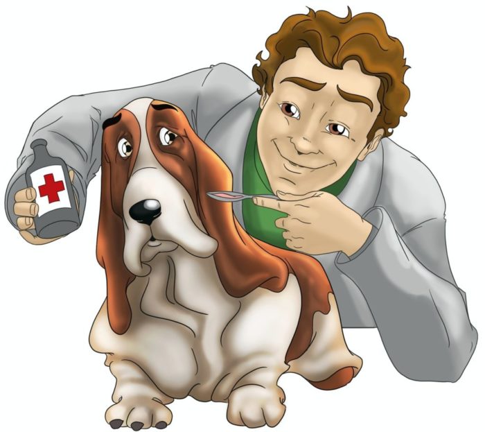 Basic Dog Care Tips Basic Dog Care Tips