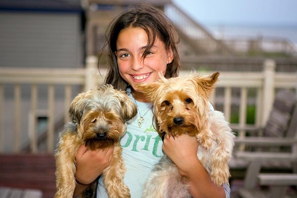 basic dog care tips basic dog care tips