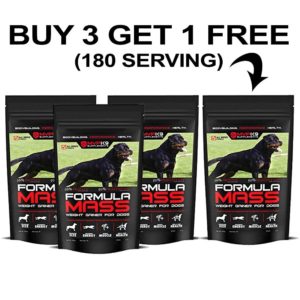 MVP K9 Performance and Muscle Builder Supplement MVP K9 Performance and Muscle Builder Supplement