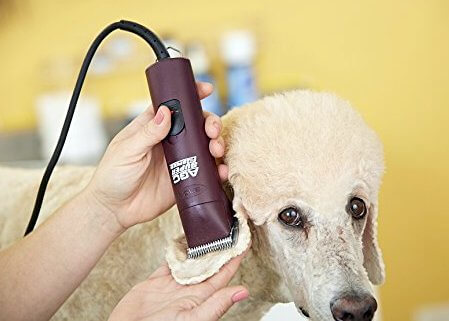 agc dog clippers