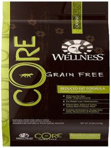 4. Wellness Core Natural Grain Free Dry Food
