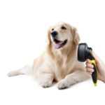 Best Dog Brushes For Shedding ~ Buyer’s Guide Best Dog Brushes for Shedding