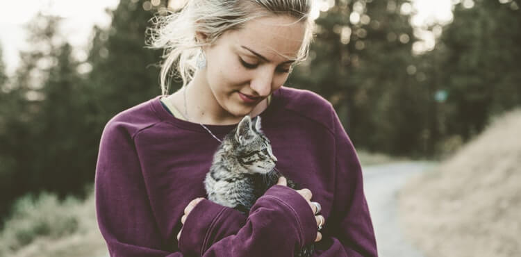 Why Does My Cat Cuddle With My Shoes? Read on for More!