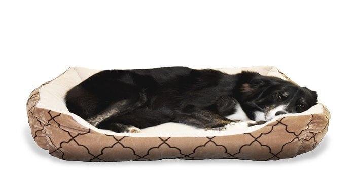 best orthopedic dog bed for large breeds