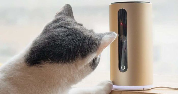 How can you use hidden cameras for your pet safety