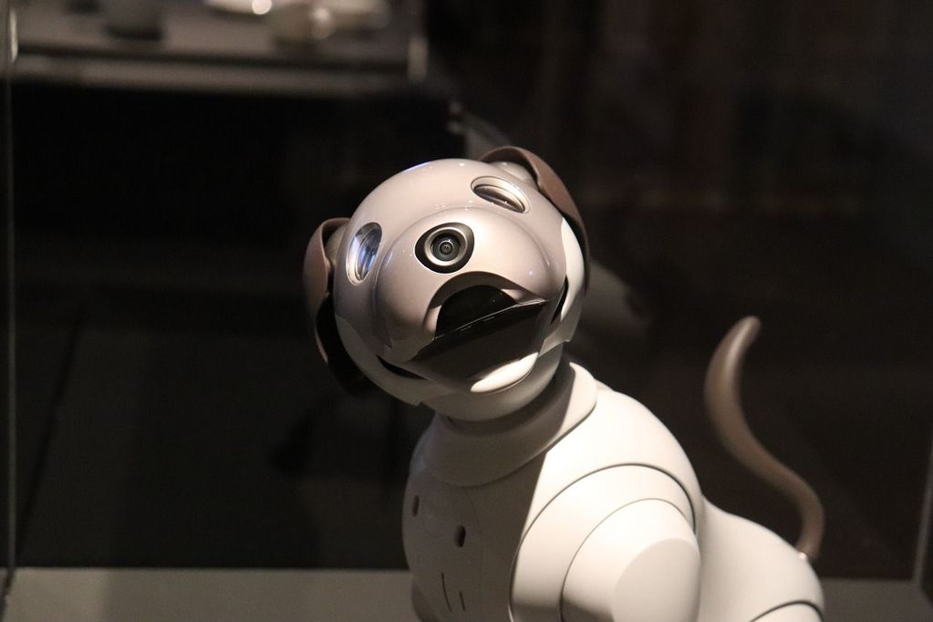 6 Benefits of Robotic Pets For Seniors