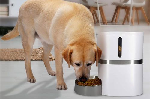 Honeyguaridan a36 Automatic Pet Feeder