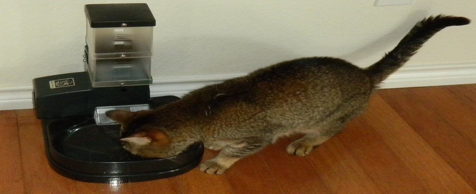Super Feeder Automatic Cat Feeder