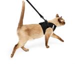 Best Cat Harness For No Escape