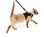 7 Best Cat Harnesses For No Escape (2020) – Reviews & Buyer’s Guide Best Cat Harness For No Escape