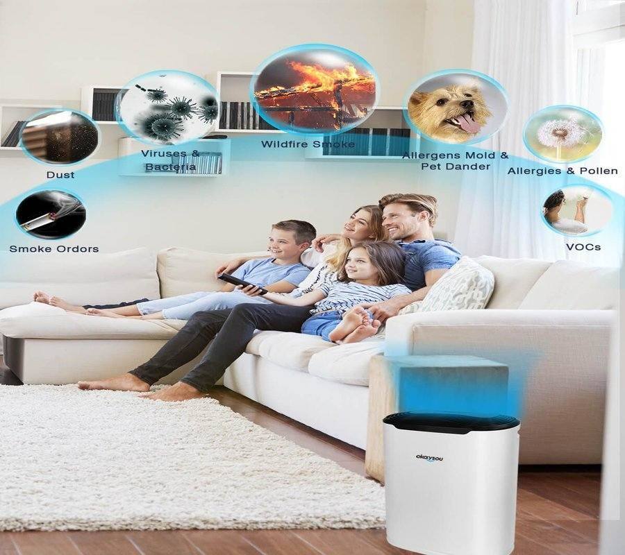 Best Air Purifiers For Pets