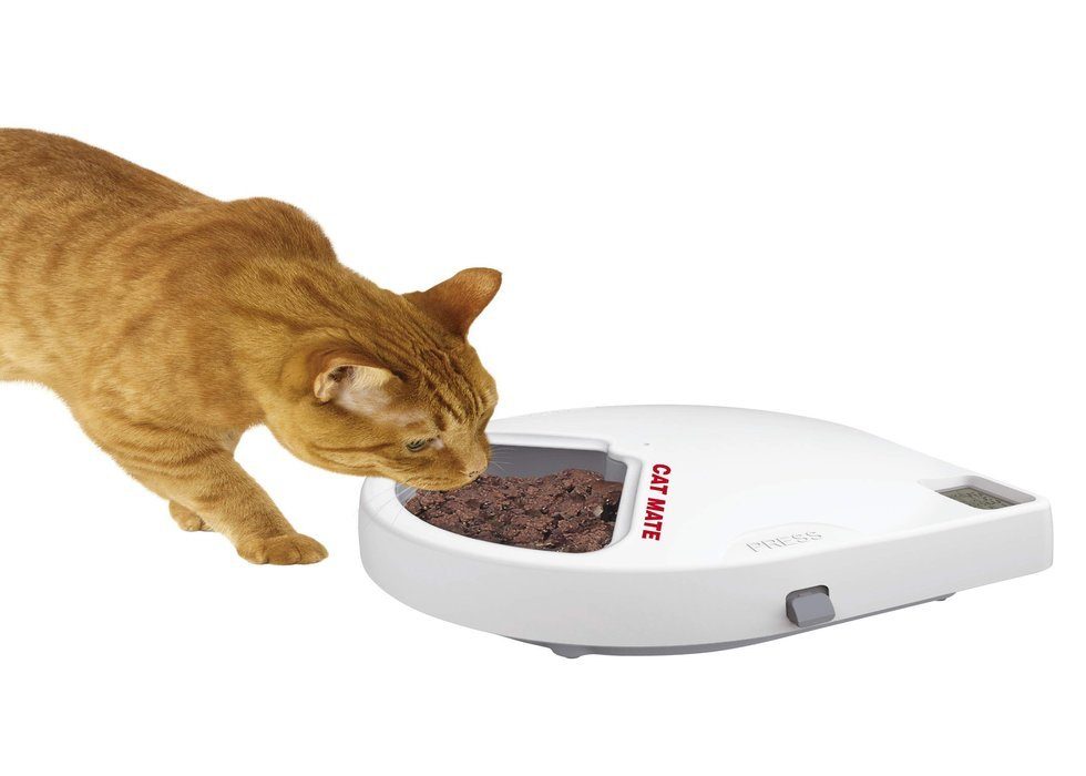 Cat Mate C500 Automatic Pet Feeder review
