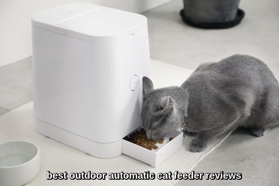 best outdoor automatic cat feeder