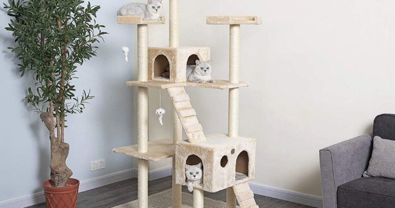 Best Cat Tree for Small Apartment