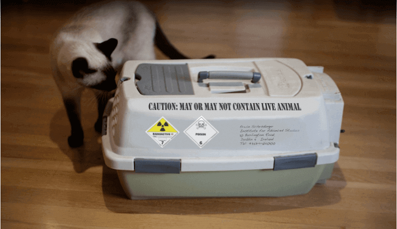 Best cat car carrier with litter box