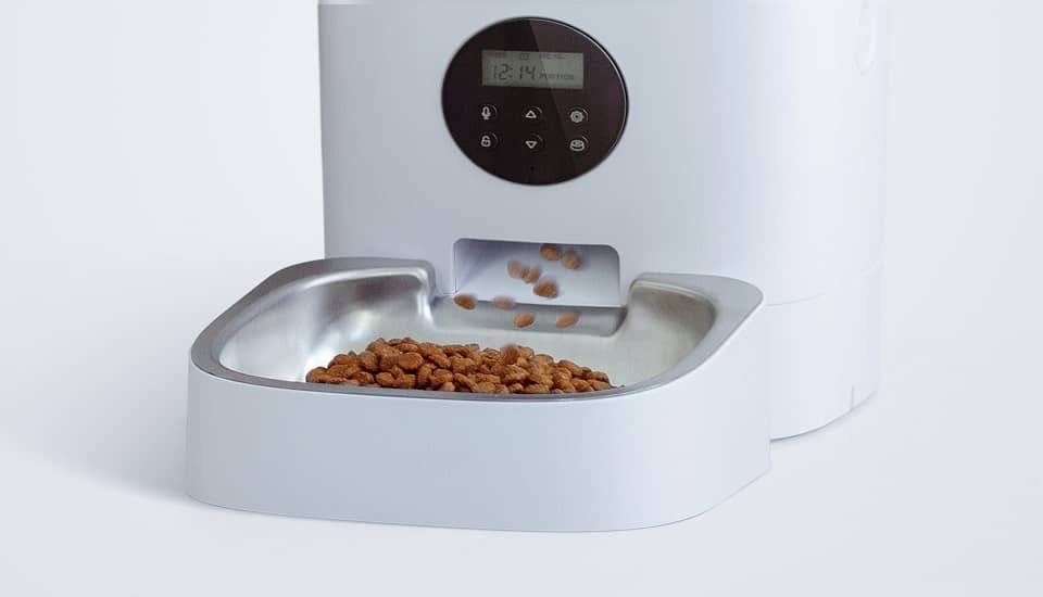 petlibro automatic cat feeder