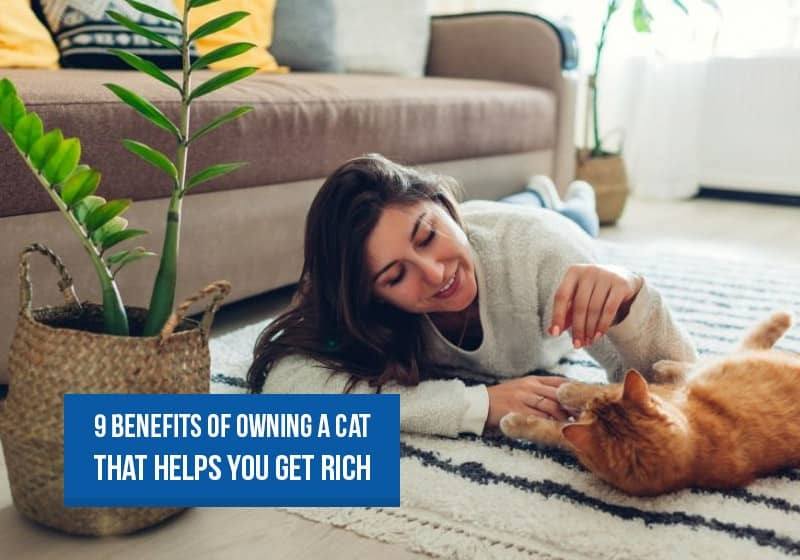9 Benefits of owning a cat that helps you get rich