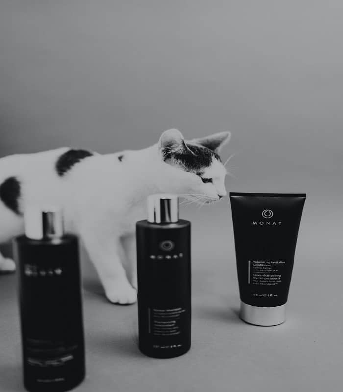 Shampoo for Persian cats