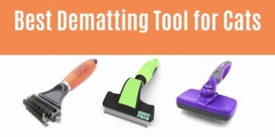 5 Best Dematting Tools for Cats Reviews in 2022