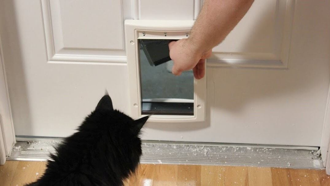 Best Cat Door For Cold Weather Reviews