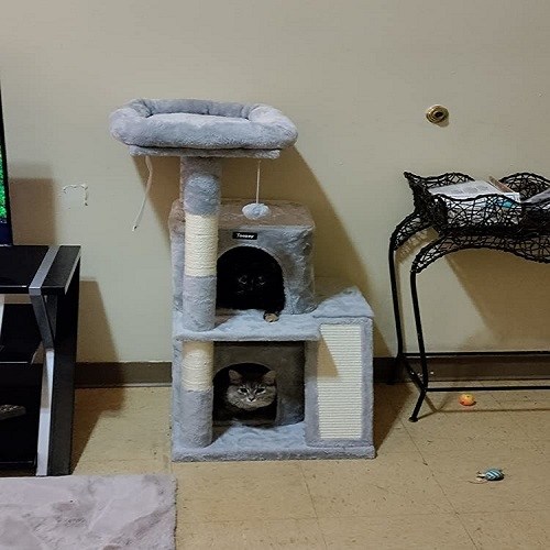 Toozey Multi-Level Cat Condo with Scratching Post Reviews