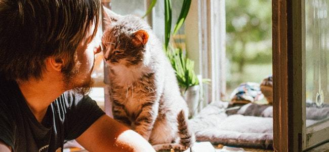 how to keep cats off balcony railing