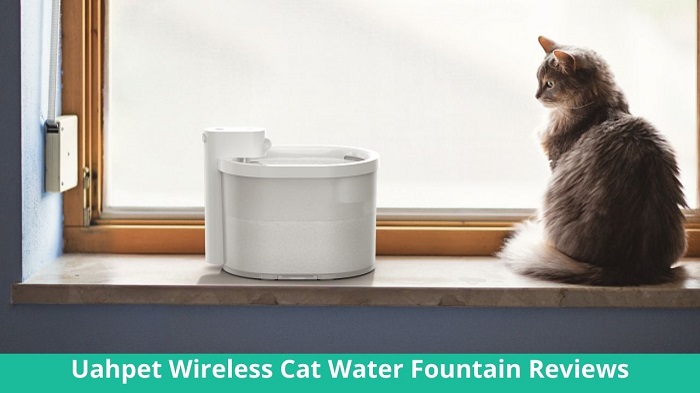 Uahpet Wireless Cat Water Fountain Reviews