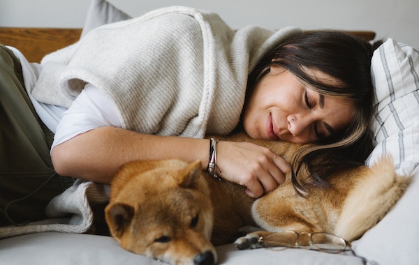 Dog Sleep With His Butt Towards You Because They Feel Comfortable