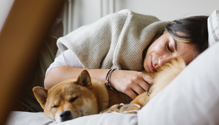 Dog Sleep With His Butt Towards you just because of matter of trust