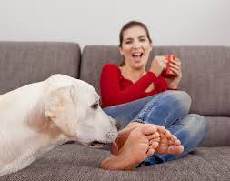 Dogs Like your Body Odor 