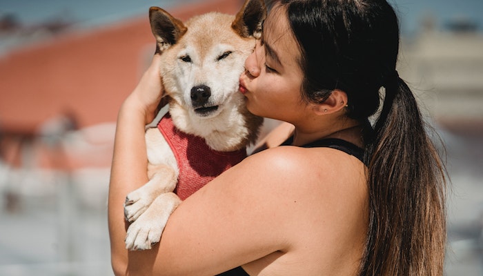 dog can show you that they feel good