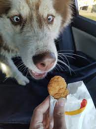 What happens if my dog eats McDonald’s nuggets