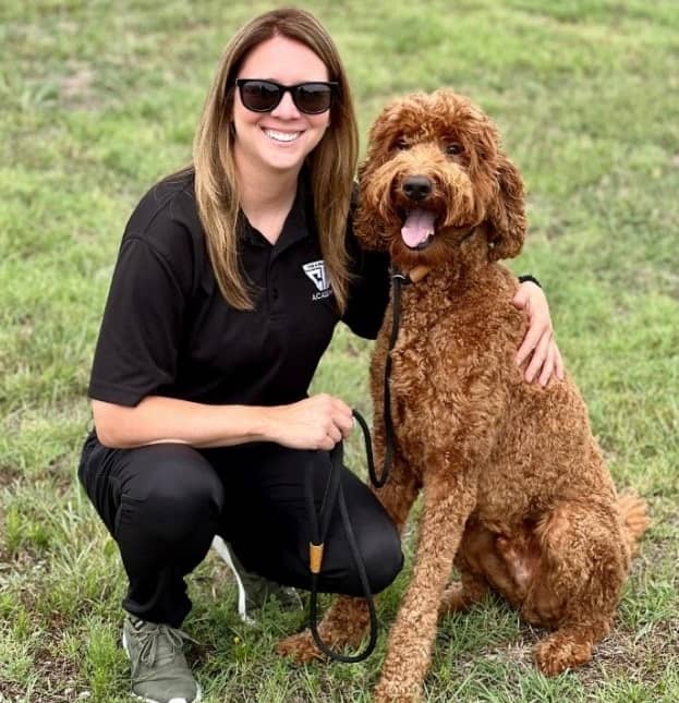 Essential Factors to Consider in a Dog Trainer