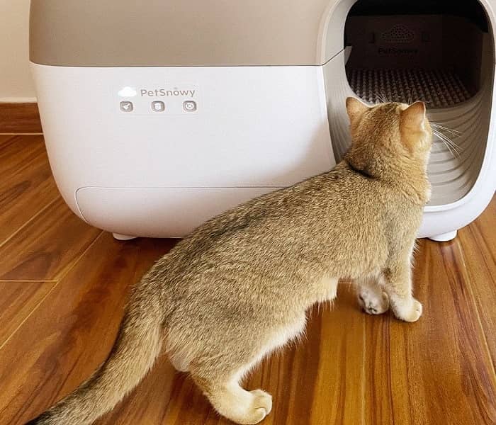 Choosing the Right Self-Cleaning Litter Box for Your Cat's Needs