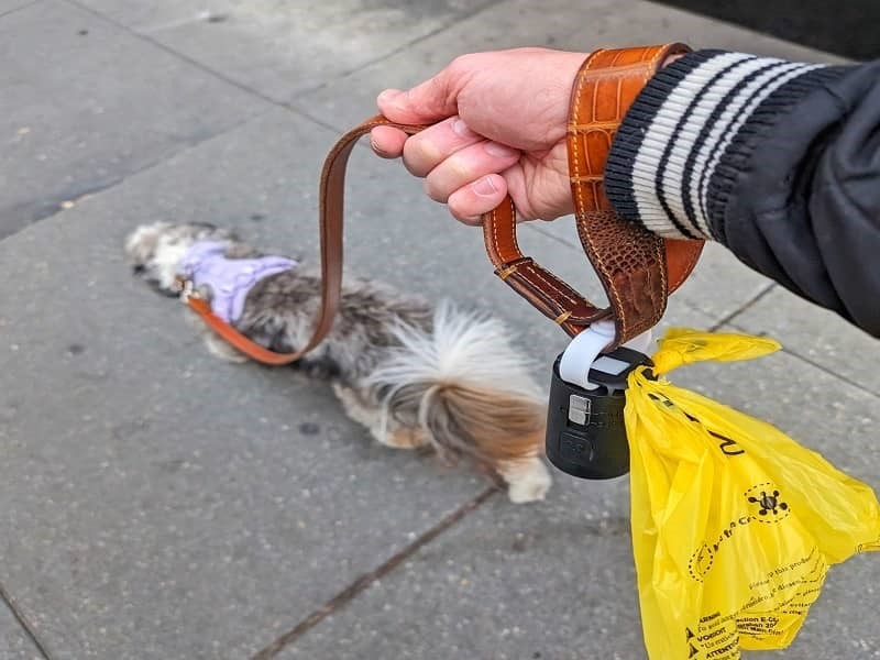 The Ultimate Guide to Choosing the Right Dog Poop bag dispenser